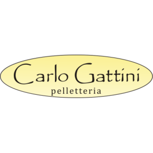 Carlo Gattini